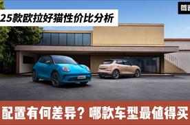 2025款欧拉好猫性价比分析：配置差异大吗？哪款最值得买？