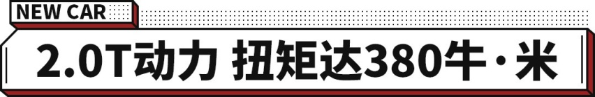 对标高尔夫GTI？国产小钢炮领克02 Hatchback上市