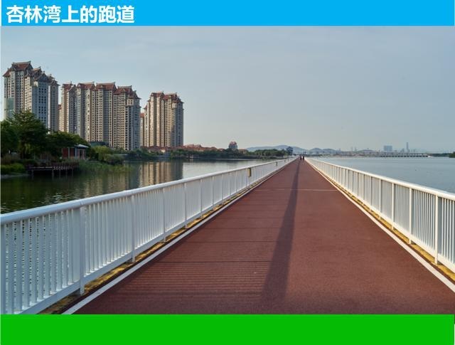 打卡厦门——好车,美景,幸福生活