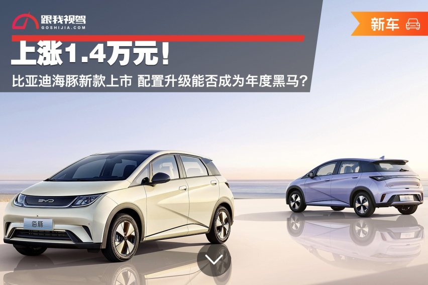 上涨1.4万元！比亚迪海豚新款上市 配置升级能否成为年度黑马？