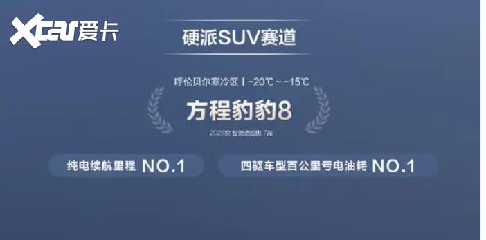 无惧严寒，比亚迪冬测成绩优秀，多款车型领跑新能源细分赛道