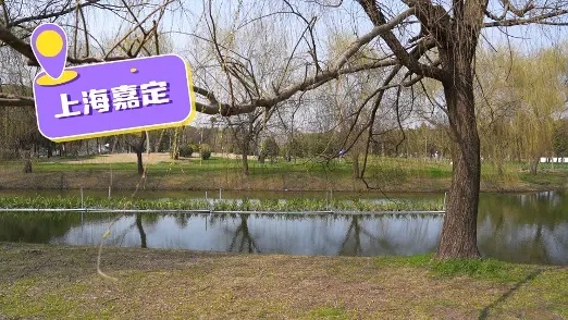 全家踏青还在选SUV？智能插混MPV瑞风RF8来了，开的放心坐的舒心