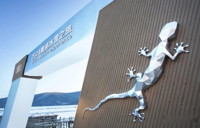 我们开着奥迪 在冰面上漂移
