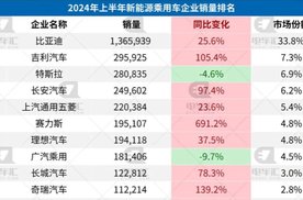 上半年新能源乘用车终端销量汇总