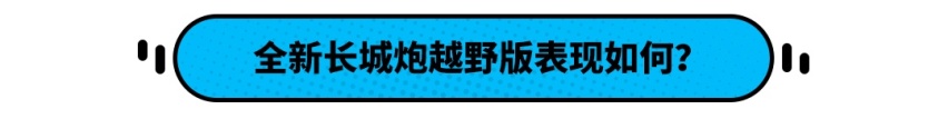 有钱人的大玩具？这款长城新车真的适合国人吗？