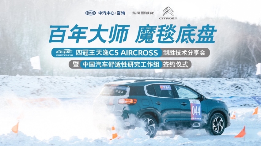 雪铁龙凭