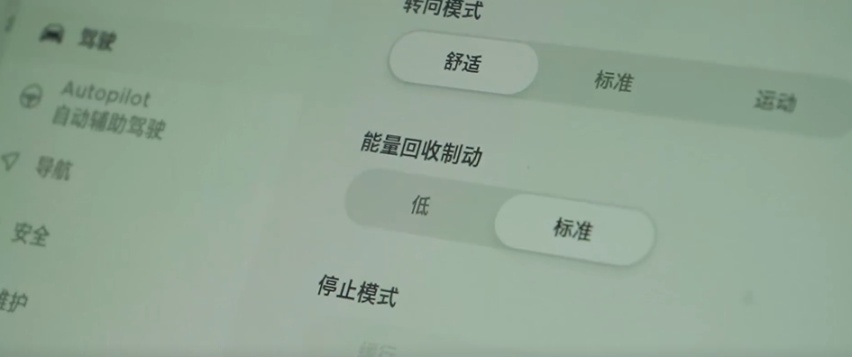 等等再买，明天更便宜！国产特斯拉真的行吗？