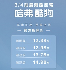 狗狗家族新成员哈弗酷狗上市，售价12.38万元起