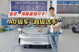 A0级车市“越级选手”颜值与实力双在线 静态体验极狐T1