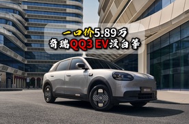 一口价5.89万奇瑞QQ3 EV没白等