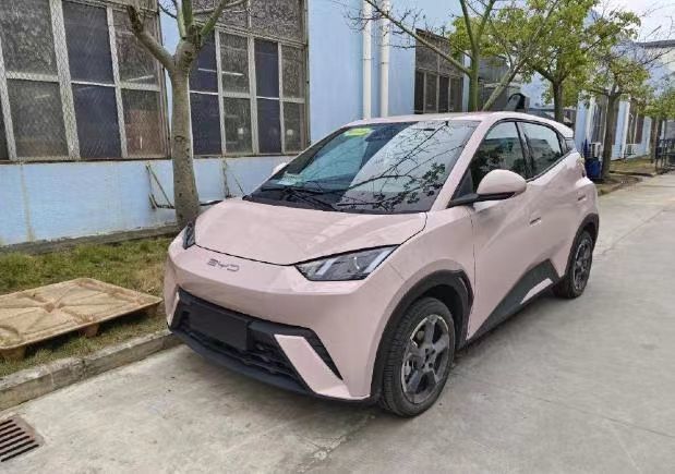 一月小型车销量排名公布，比亚迪海鸥主什么能够销量第一？
