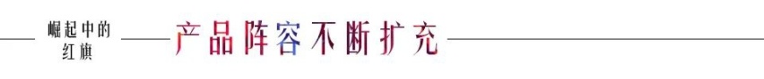 2020年的上半场——谨以此文献给崛起中的红旗品牌