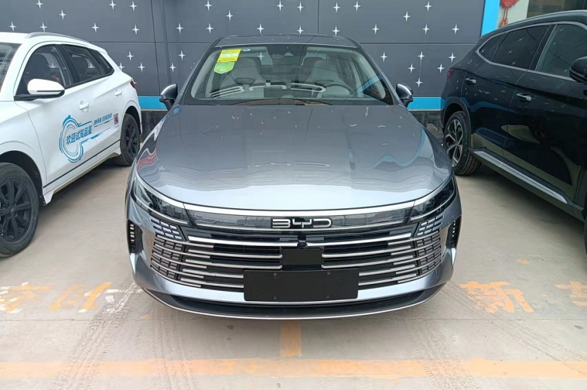 2月新能源轿车销量榜：秦第1，海豚第3，Model 3第7，蔚来ET5
