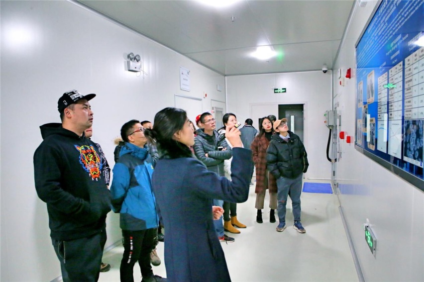 探秘“科技长城”稳健发展的背后力量 福建媒体团走进长城汽车