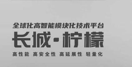 WEY VV3曝光，全新柠檬平台打造，对标领克06与星途LX