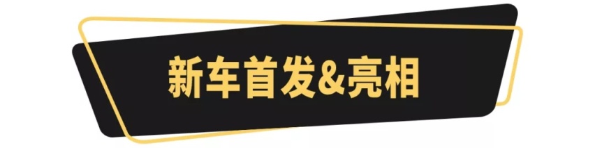 百花争艳！超10款自主新车，共同亮相北京车展