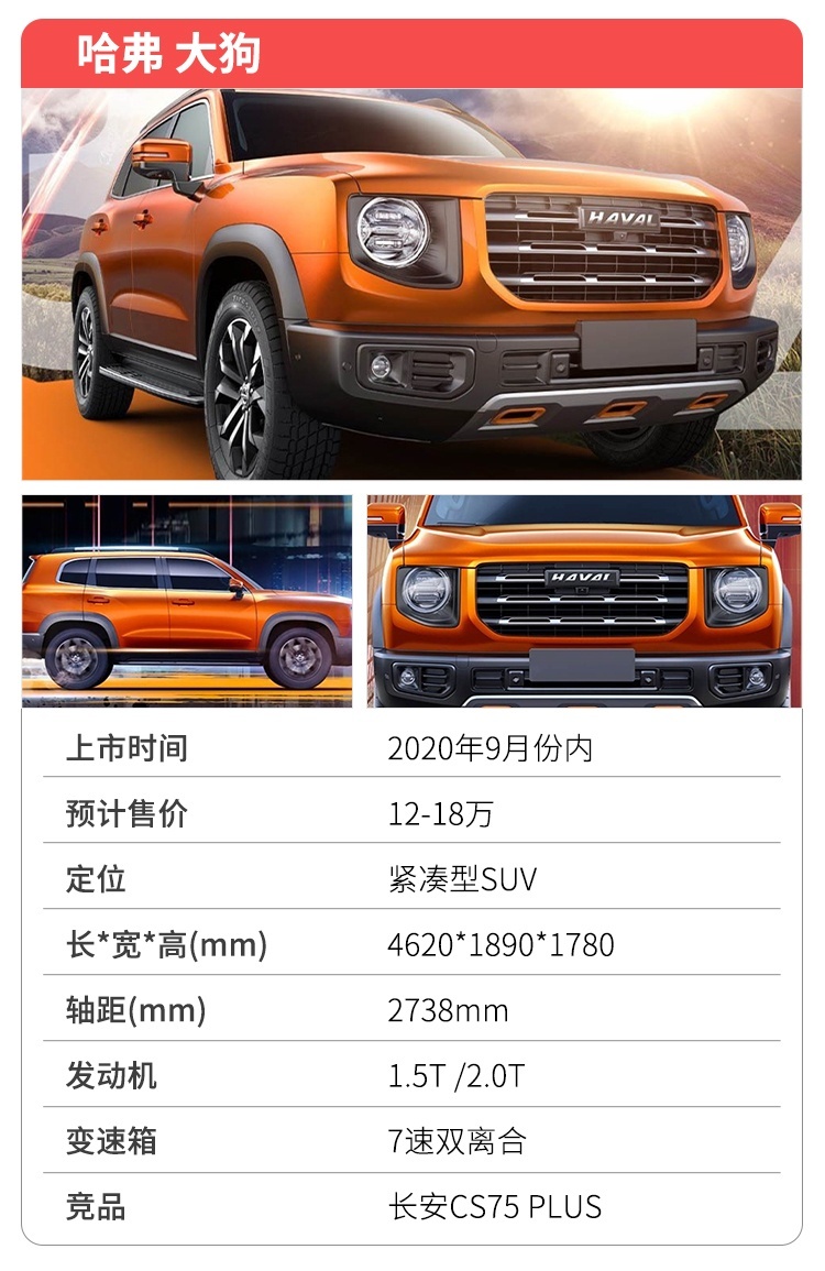 K5/大狗领衔 9万起步！9月新车超多看点 钱包真捂不住了！