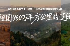 器物之「家」，腾势N8L纯电上市29.98万元起   