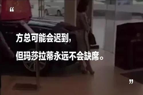 “阳阳姐”座驾更迭实录
