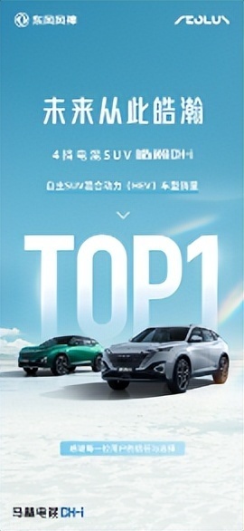 9万级电混SUV皓瀚DH-i与宋Pro DM-i比，谁更省更强？