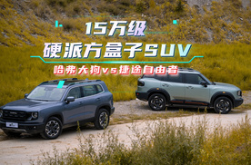 15万级硬派方盒子SUV对比：哈弗大狗vs捷途自由者
