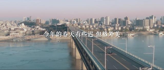 300万口碑推荐，毕竟不是每一款SUV都叫哈弗H6