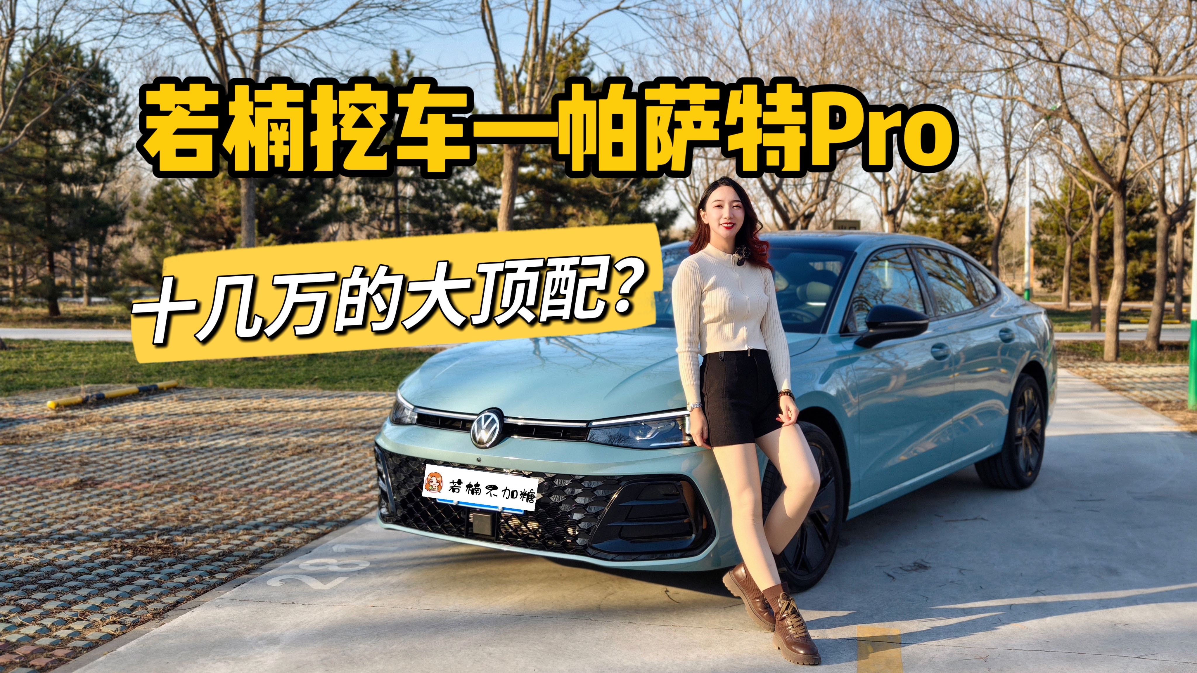 不吹不黑！十几万的顶配帕萨特怎么样？