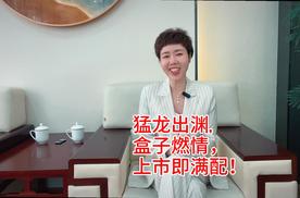 猛龙出渊，盒子燃情——哈弗猛龙燃油版上市即满配。