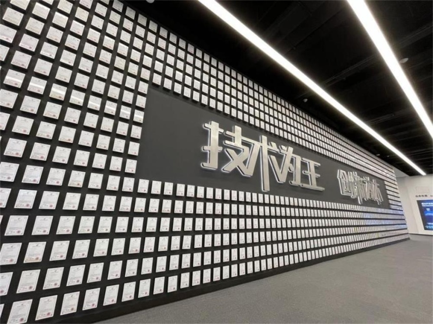 半年销量破百万 站在风口的比亚迪演绎“乘风破浪”