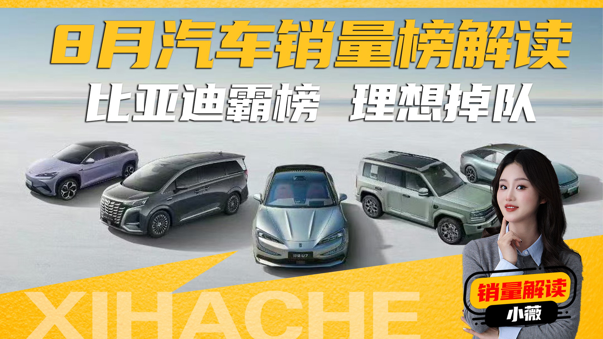 �����������8�·����������̵����