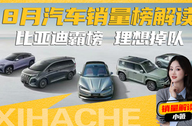 理想掉队了吗？8月份汽车销量盘点解析