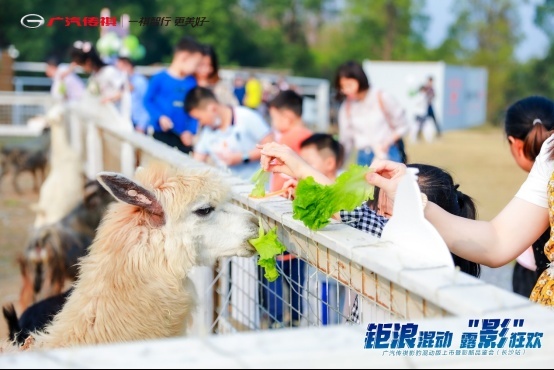 跑得够快，省得痛快！影豹混动版12.8万元起上市，颠覆对混动的认知
