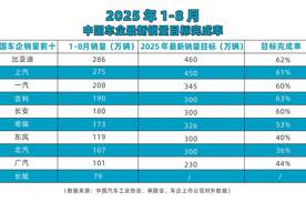 1-8月中国车企最新销量目标完成率，比亚迪目标完成率达62%