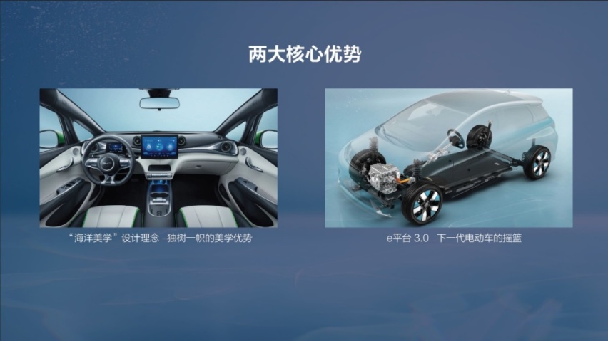 此处“海豚”出没｜海洋车系中有什么，“码上”有海豚
