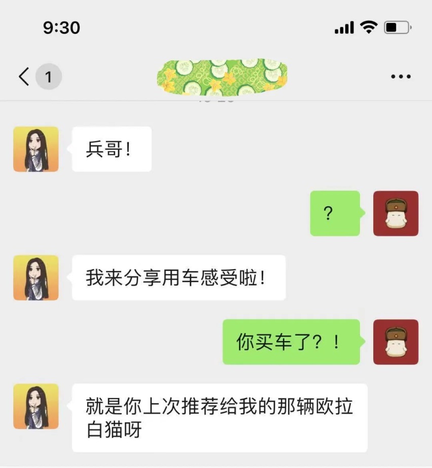 欧拉白猫车主实录:开着它,冒险与生活也能相互兼融