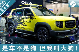 2020北京车展，是车不是狗 但我叫大狗