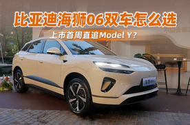 上市首周直追Model Y？比亚迪海狮06双车怎么选