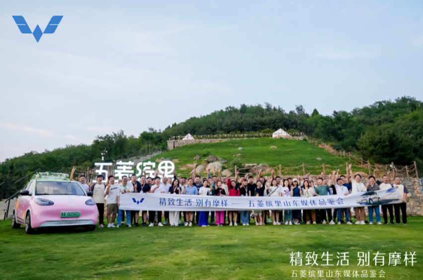 求解：想入手大空间五门纯电车！答：选五菱缤果