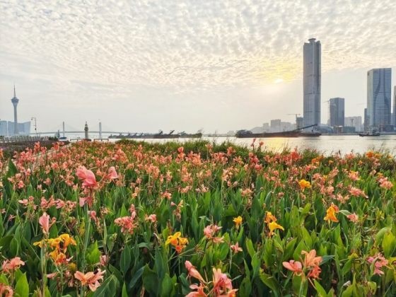 初秋浪漫珠海试驾小鹏G9，它真是全能选手操控可媲美百万级豪车？