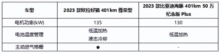 好猫VS海豚 谁能成为2024新年之旅的最佳拍档？