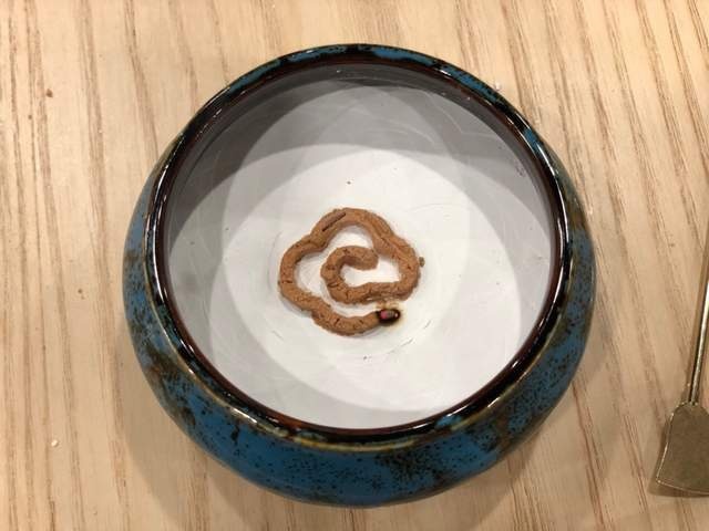 小姐姐500公里深度体验玛莎拉蒂，九华山祈福之行，收获多多
