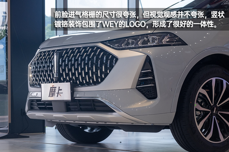 这是你想要的“味道”吗？WEY摩卡到店实拍