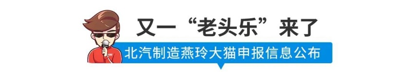 红旗版“埃尔法”要是长这样，得加多少万？