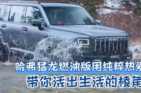 哈弗猛龙燃油版用纯粹热爱 带你活出生活的棱角