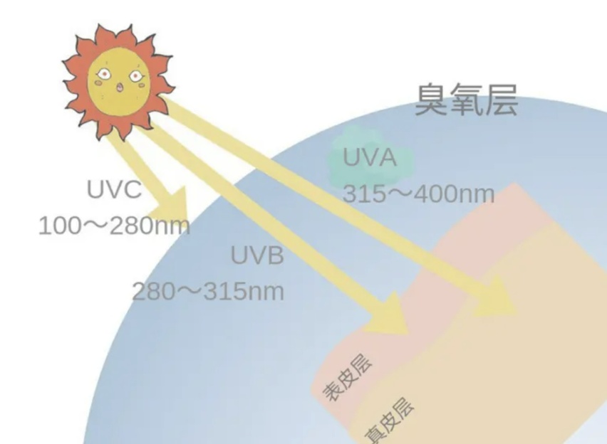 晒的鹰投河，猪被热晕，坐在车内，汽车会成为美黑神器么?