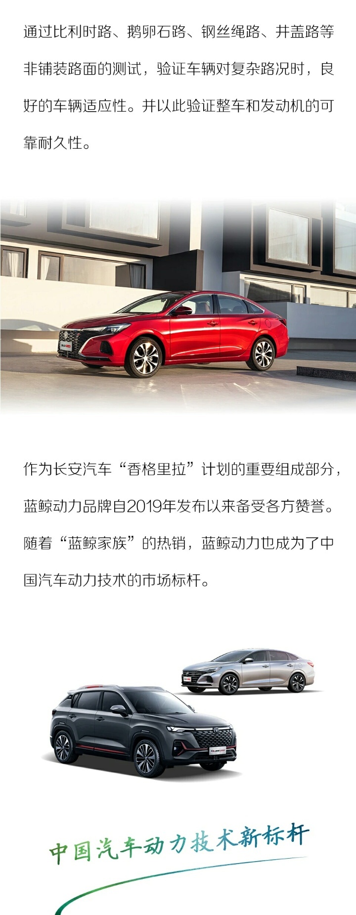 驾趣可以多疯狂？蓝鲸新一代高效动力双冠赛道燃擎直击