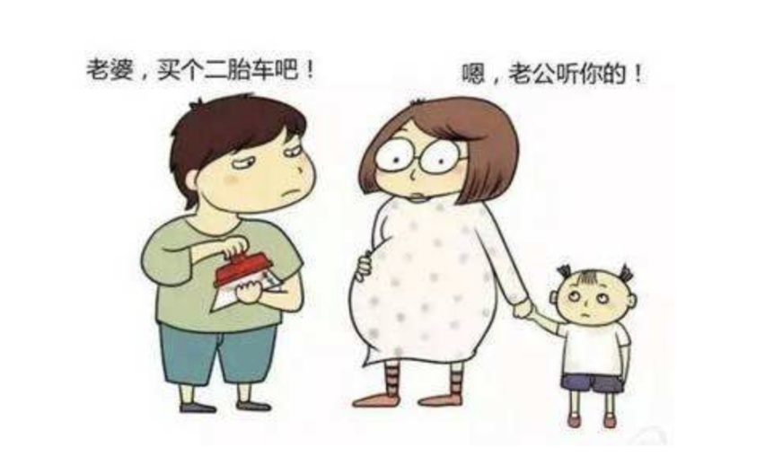 10万SUV该选谁 二胎家庭选车实用指南