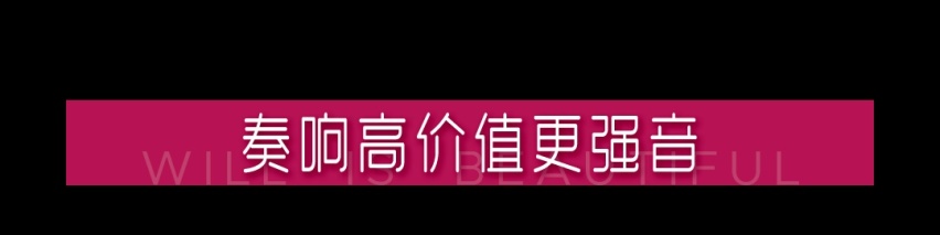 皓影全新智享版“出道”，幻夜系列黑白CP“成团”