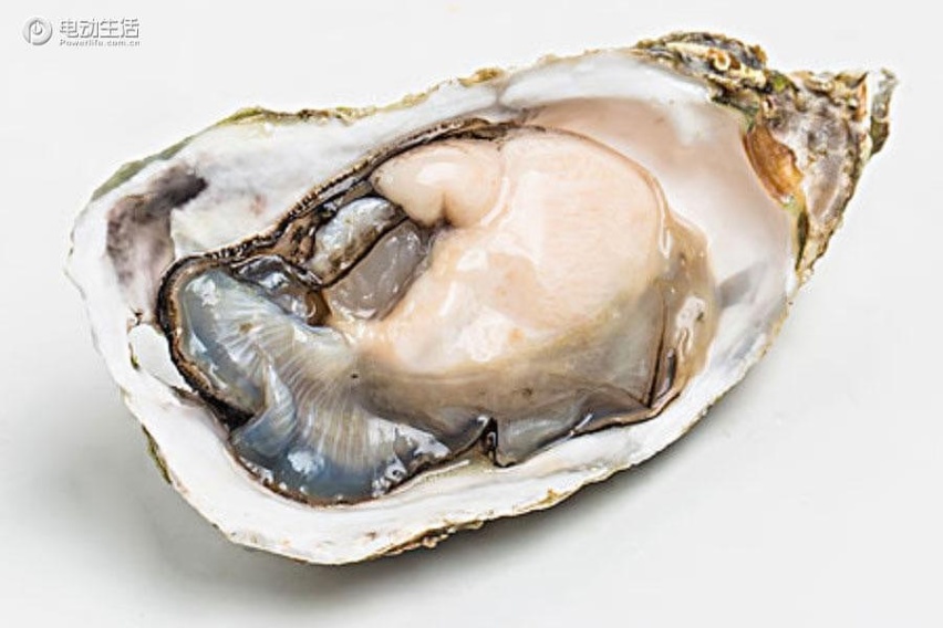 逃离城市：去东营，看黄河入海，吃海鲜！
