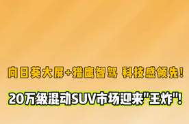 山海L7 PLUS定档上市，新车官图解析！向日葵大屏+猎鹰智驾，科技感领先！